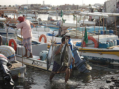 من المهرجانات الثقافية في جازان التي يتم فيها صيد الأسماك مهرجان